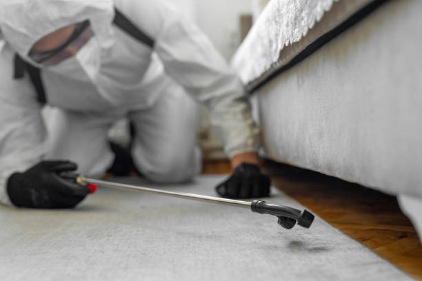 Professional Cockroach Control technician working in Boston Heights, OH